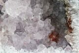 Bargain, Amethyst Crystal Geode Section - Morocco #109457-3